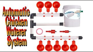 Automatic Chicken Waterer System