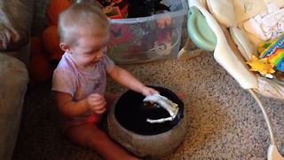 Babies Love Halloween Candy