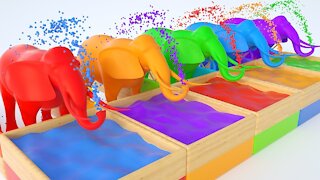 Couleurs pour que enfants apprennent avec éléphants et liquides magiques