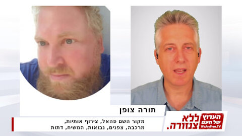 תורה צופן