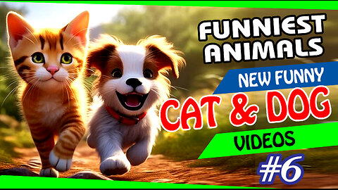 Funniest Animals 😅 New Funny Cats and Dogs Videos 😸🐶 #6