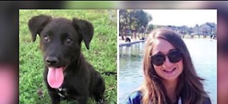 Rescue names dogs after front line workers