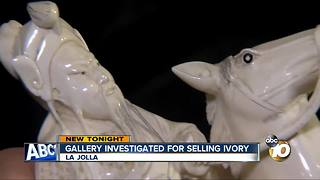 Gallery investigated for selling ivory