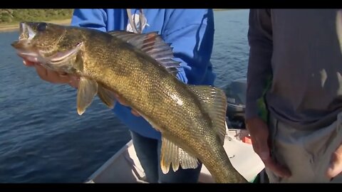 How To Jig For Big Walleye