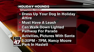 Holiday hounds