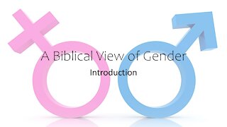 Gender and the Bible - Introduction