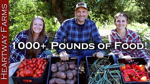 Harvesting 1,000+ Pounds of Food in ONE HOUR! | Fall Garden Harvest Stocking Up | Food Preservation
