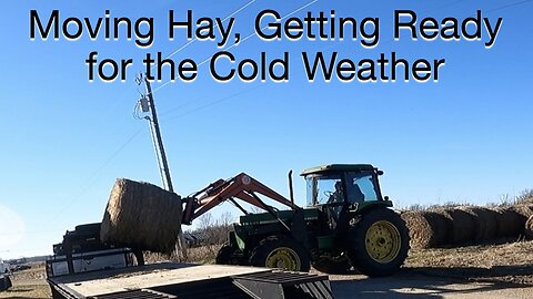 Moving hay getting ready for cold weather