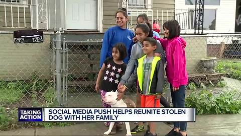 Family reunited after their dog was stolen