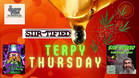 SIIRTIFIED TERPY THURSDAYS WITH SIIR STEVEO EPISODE 21 ASHLEY HUFFMAN