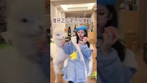 Adorable Chinese Girl Is Bothered By Her Pet Lamb For Some Fruit