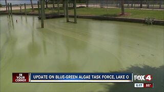 Update on blue green algae task force