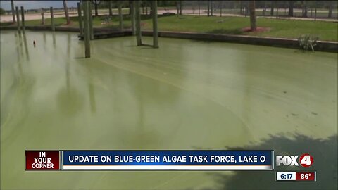 Update on blue green algae task force