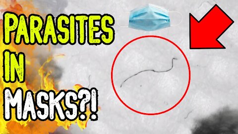 SHOCKING: Parasites In MASKS? - Videos Show Strange WORMS in Face Masks Under Microscope!