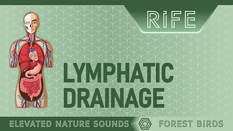 LYMPHATIC DRAINAGE with RIFE