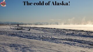 Episode 11 | The cold of Alaska