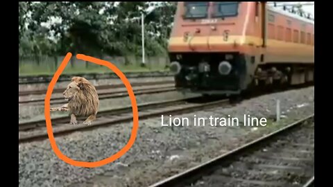 Lion on the train track