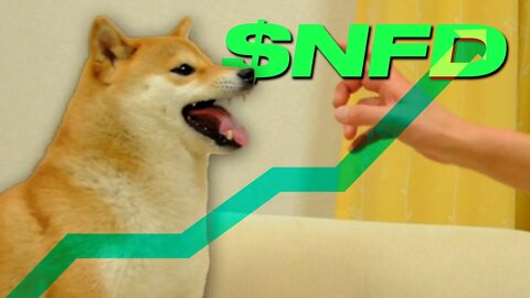 What are fractionalized NFTs and why is Feisty Doge $NFD mooning?