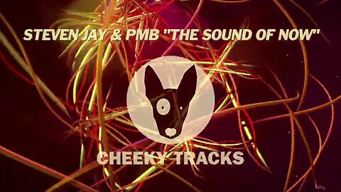 Steven Jay & PMB - The Sound Of Now (Cheeky Tracks) release date 25th August 2023