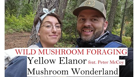 Yellow Elanor visits Mushroom Wonderland : feat Peter McCoy