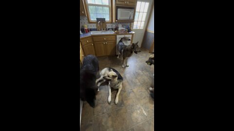 Playing in the Kitchen