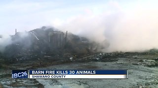 Barn fire kills more than 30 animals