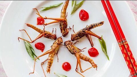 WHAT IS BEHIND WEF'S INSECTS FOR FOOD AGENDA- you might be surprised