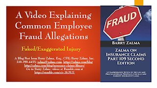 A Video Explaining Common Employee Fraud Allegations