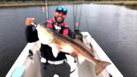 Monster Bull Red Fish Florida Caught Live On Twitch Stream