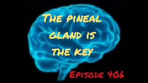 THE PINEAL GLAND IS THE KEY - WAR FOR YOUR MIND, Episode 406 with HonestWalterWhite