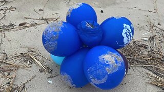 Milwaukee Riverkeeper talks about effects of balloon debris on our environment