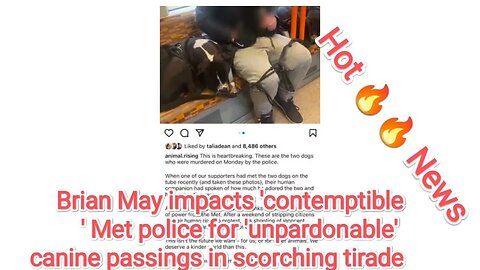 Brian May impacts 'contemptible' Met police for 'unpardonable' canine passings in scorching tirade