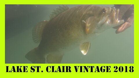 St. Clair 2018 Vintage Footage