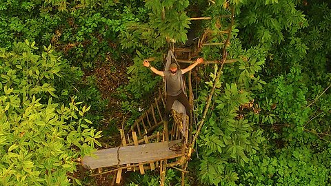 Jungle excursion in an abandoned village in the Black Sea - Snake attack - Interesting Tree Shelter