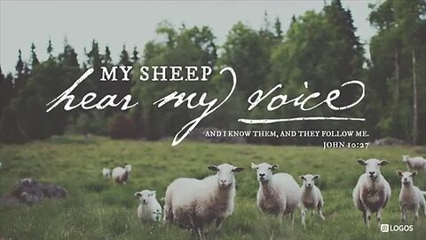 “THE SECURITY OF BELIEVERS—OR, SHEEP WHO SHALL NEVER PERISH” Charles Spurgeon Sermon