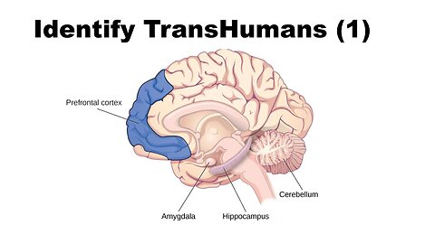 Identify Transhumans 1