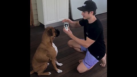 Dog Reacts to Magic Tricks!! 🐶