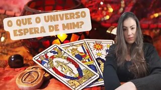 O que o universo espera de mim?