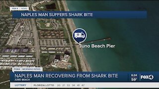 Naples man recovers from shark bite