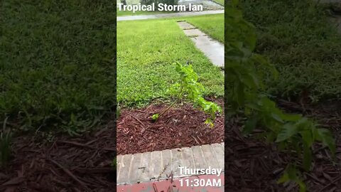 Tropical Storm Ian Update - Thursday 11:30 AM