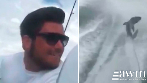 Punks Who Dragged A Shark Tied Up Behind A Speedboat Finally Learn Their Fate