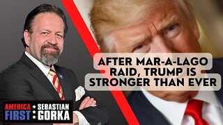 After Mar-a-Lago Raid, Trump is Stronger than ever. Larry Elder with Sebastian Gorka