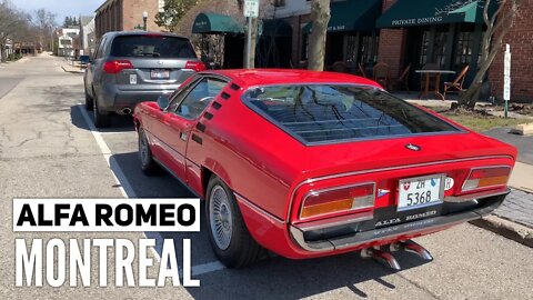 The beautiful and rare exotic Alfa Romeo Montreal