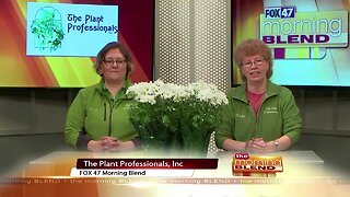 The Plant Professionals - 3/25/20