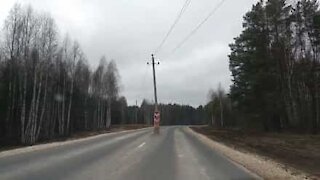 Condutor encontra postes de eletricidade no meio da estrada