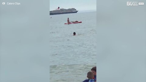 Foca sobe em prancha durante passeio de stand up paddle