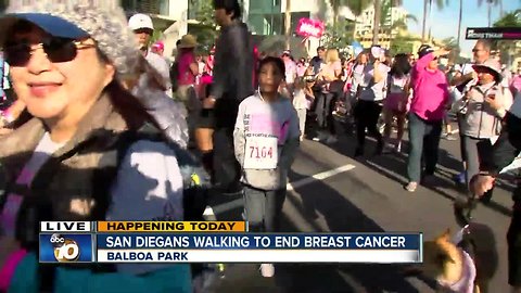 San Diegans walking to end breast cancer
