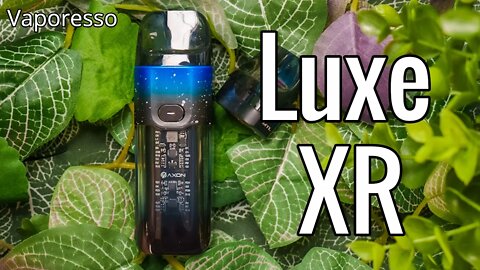 The Luxe XR now with replaceable GTX coil heads