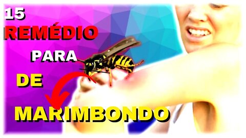 15 - Remédio Caseiro Para Desinchar Picada de Marimbondo 🐝🦟