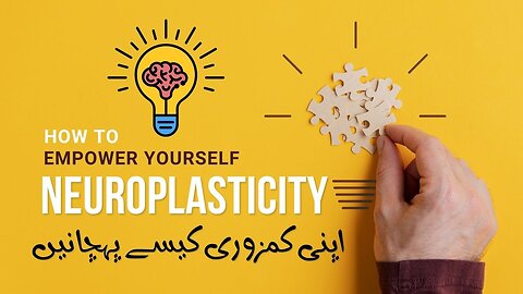 💰What Is Neuroplasticity : Enhance Your Brain, Increase Your Wealth 🚀🚀🚀